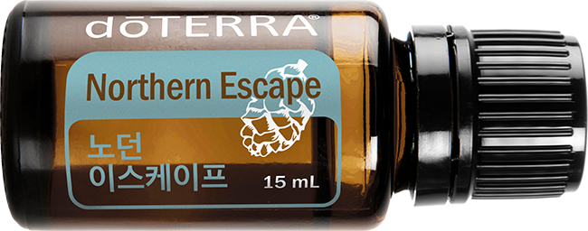 노던 이스케이프