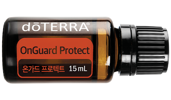 온가드 프로텍트