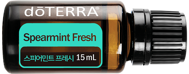스피어민트 프레시