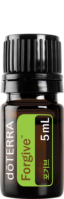 Forgive