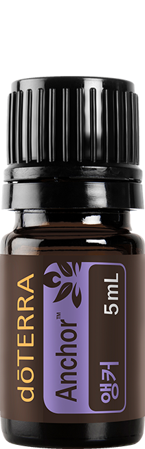 Anchor 