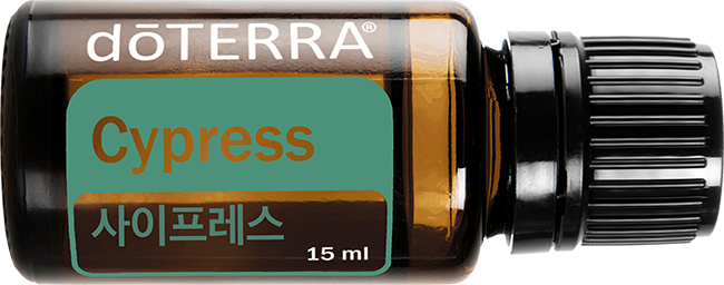 Cypress Oil