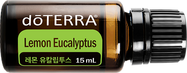 레몬 유칼립투스 오일
