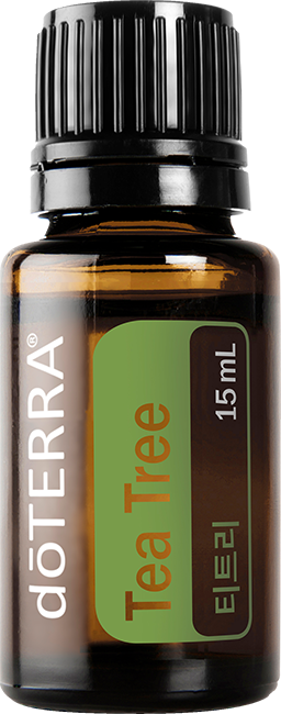 Tea Tree Oil