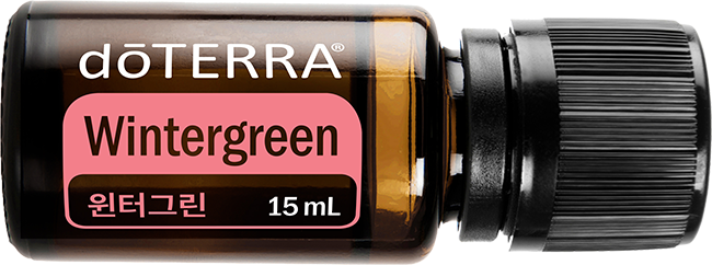윈터그린 오일