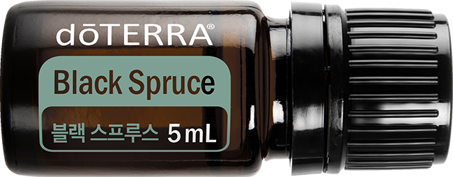 Black Spruce Oil
