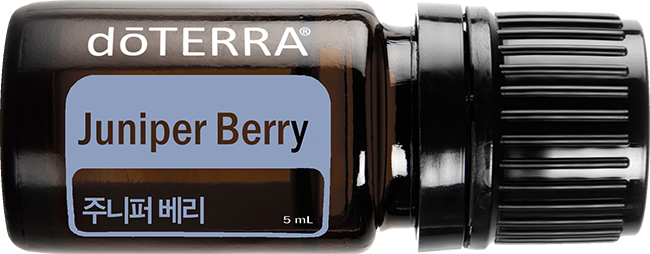 Juniper Berry Oil