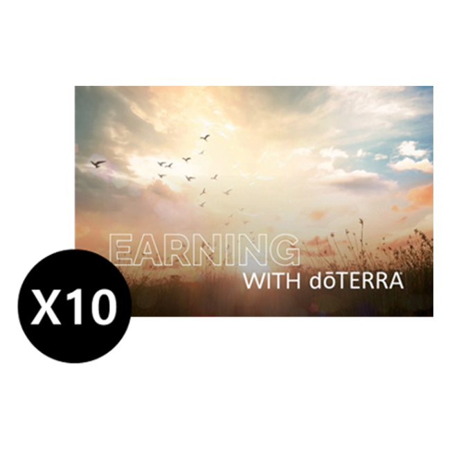 Mini compensation book 10pk