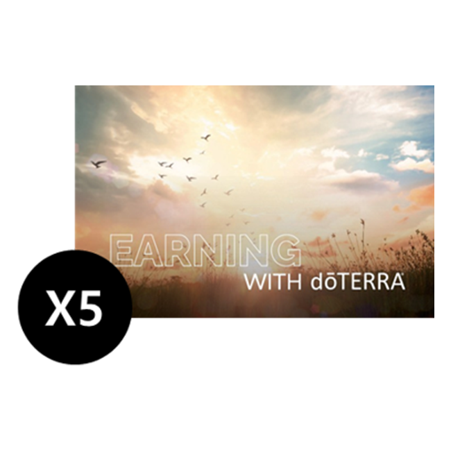 Mini compensation book 5pk