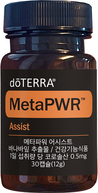 MetaPWR Assist