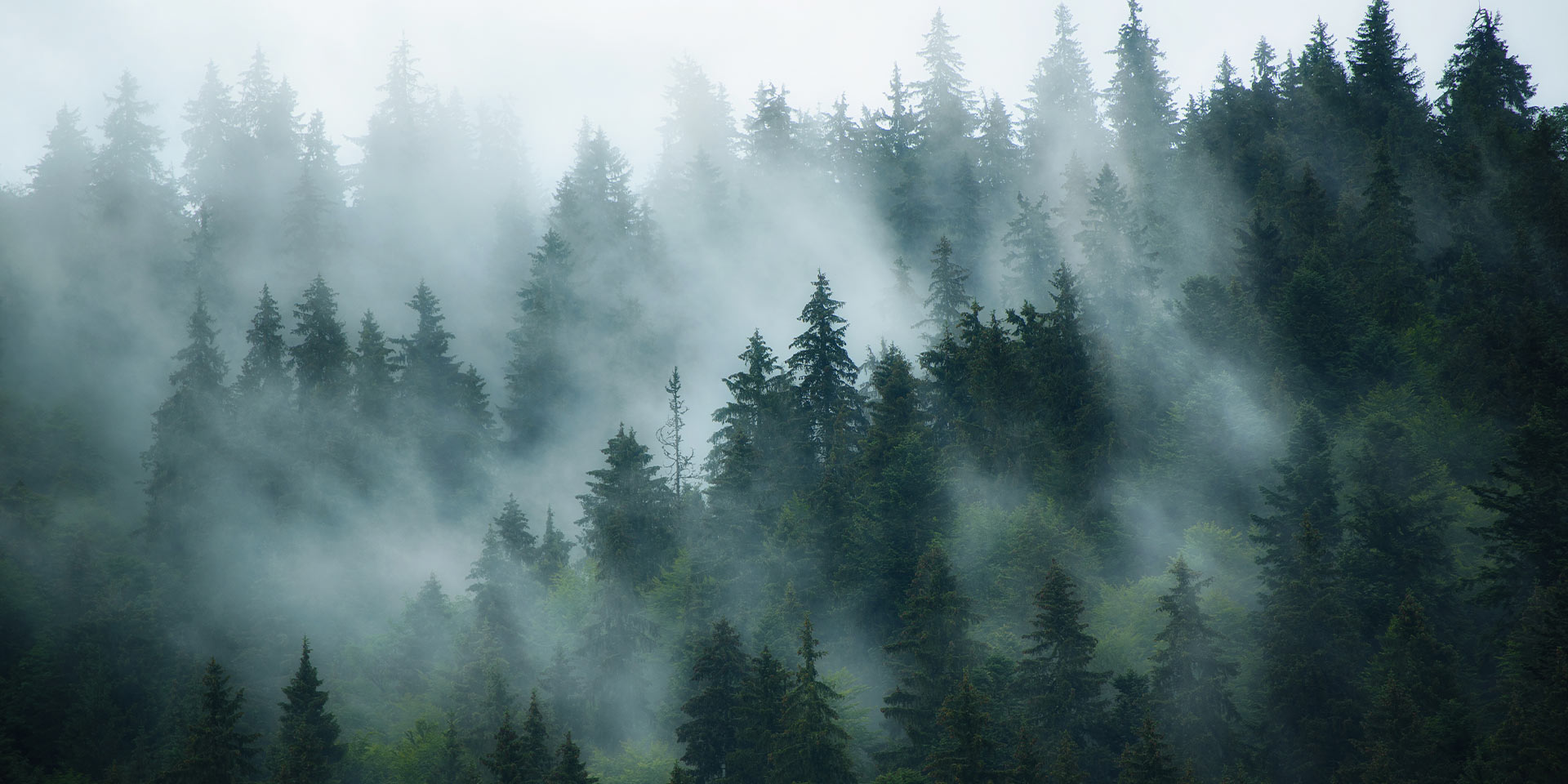 <!-- product_benefits_image_alt -->