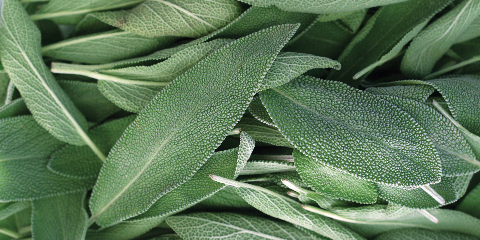 <!-- product_benefits_image_alt -->