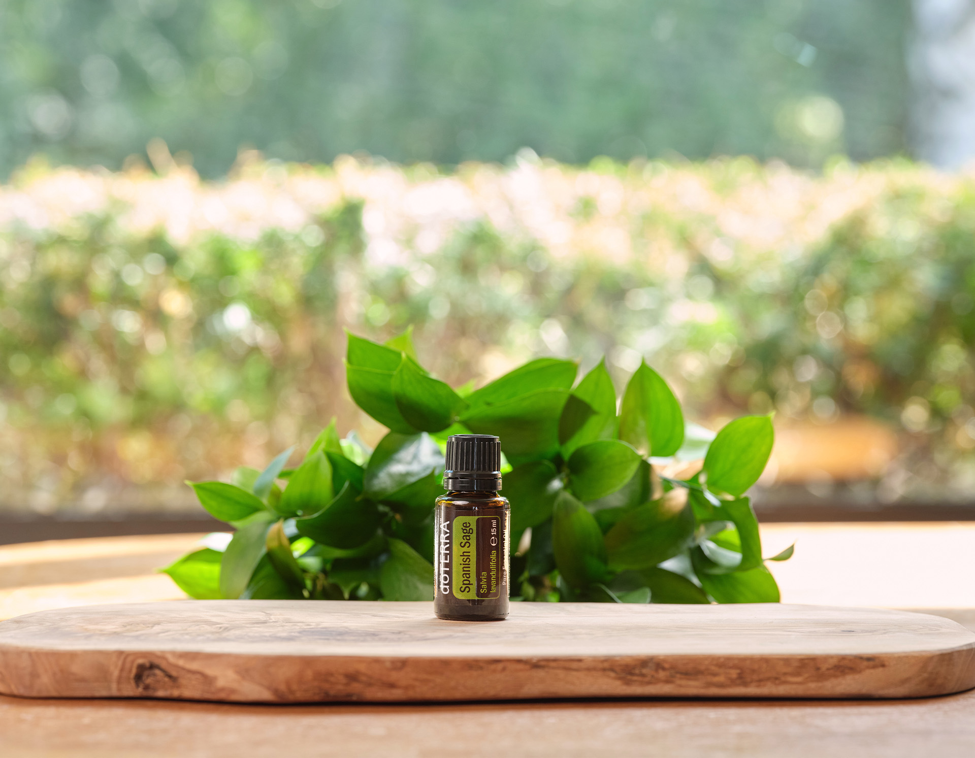 <!-- product_uses_image_alt -->