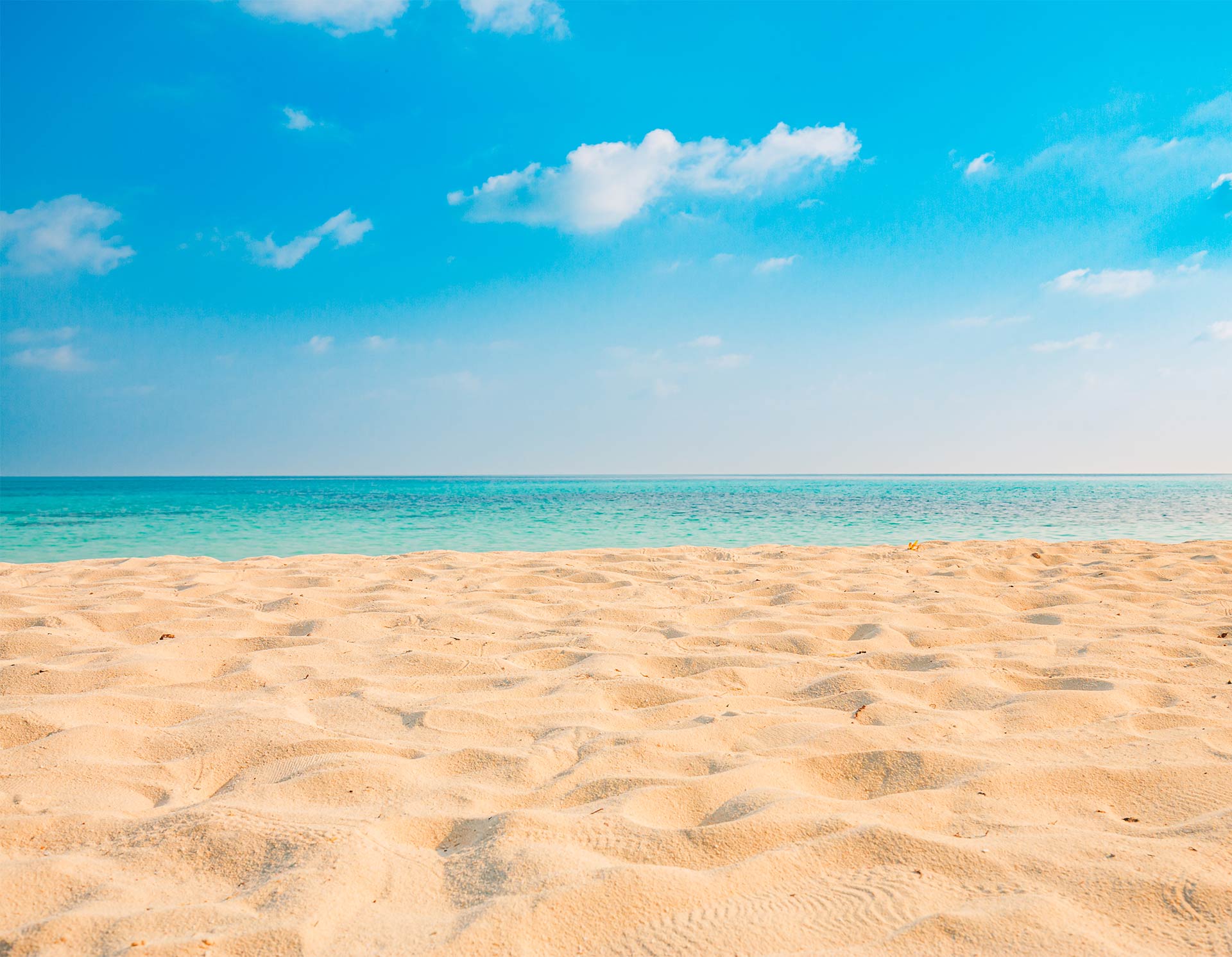 Sun Care Mineral Lotion What's Inside Image