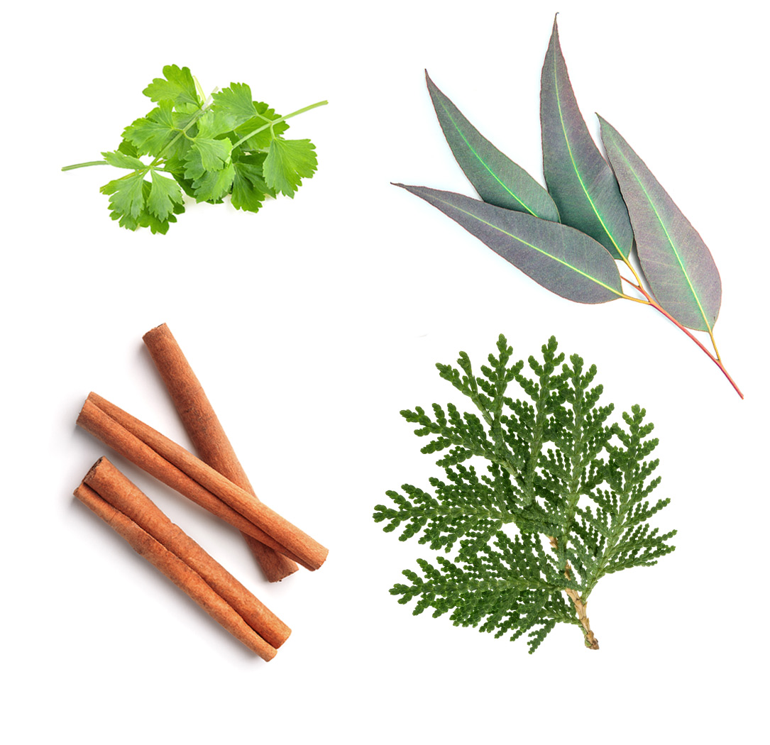 doTERRA abode What's Inside