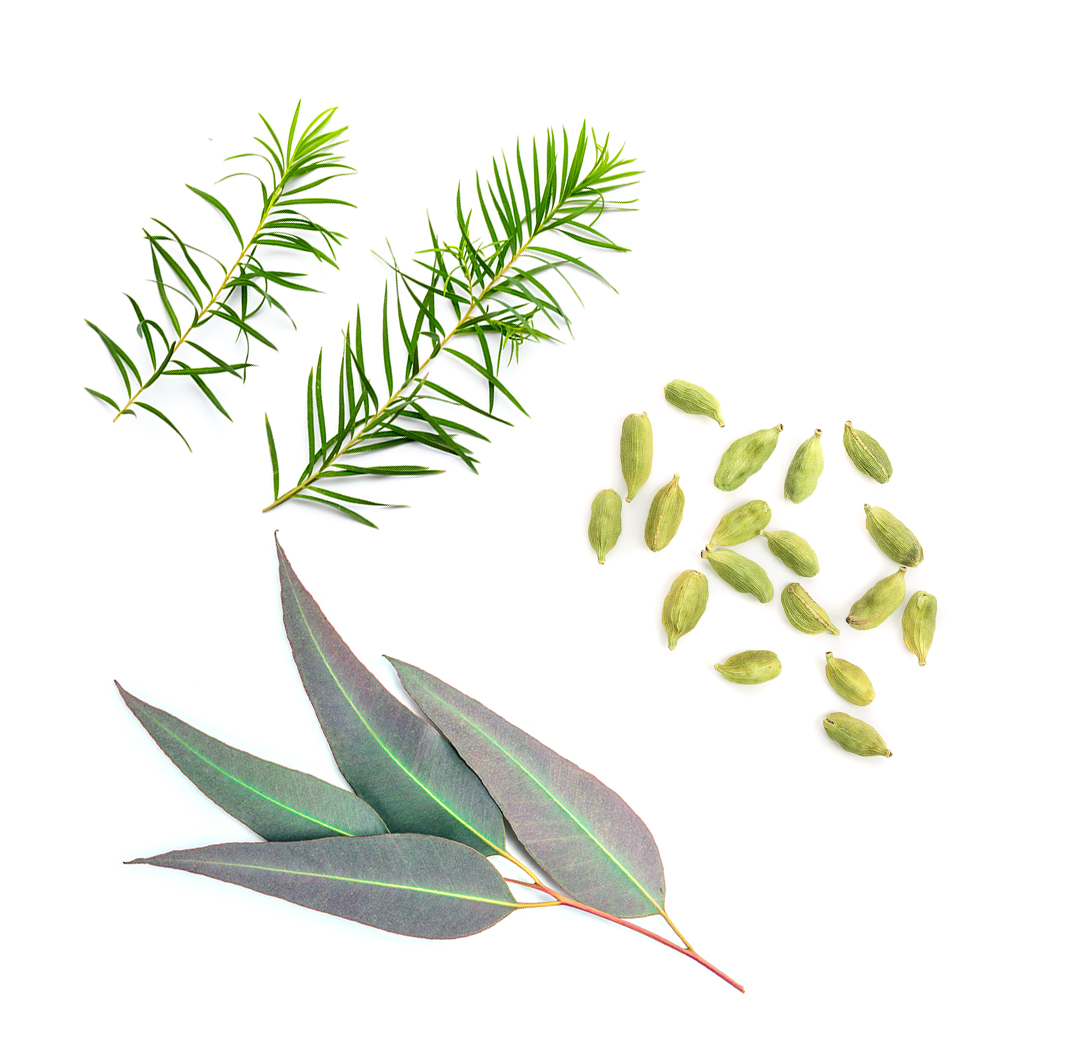 What's Inside Breathe Oil