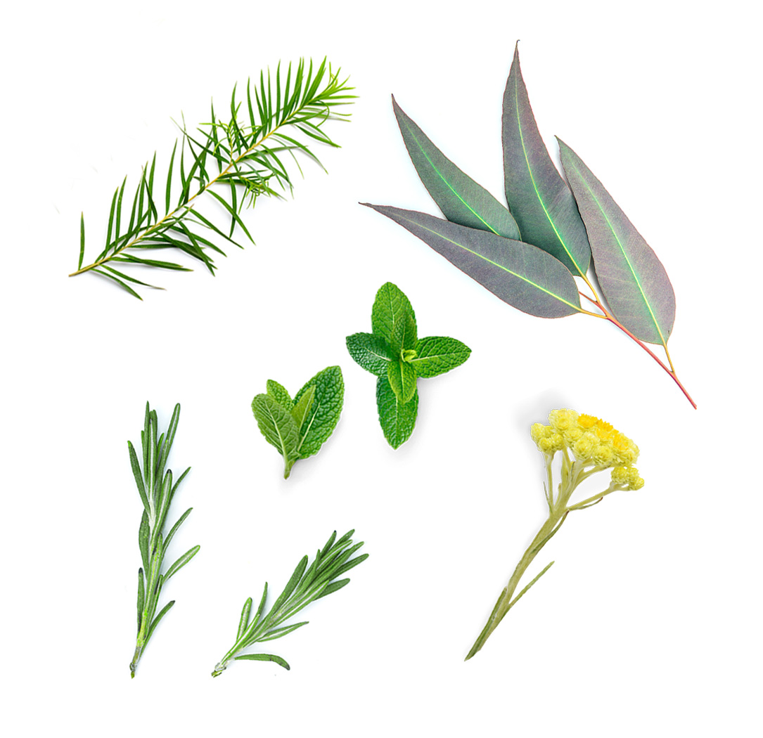 What's Inside Deep Blue