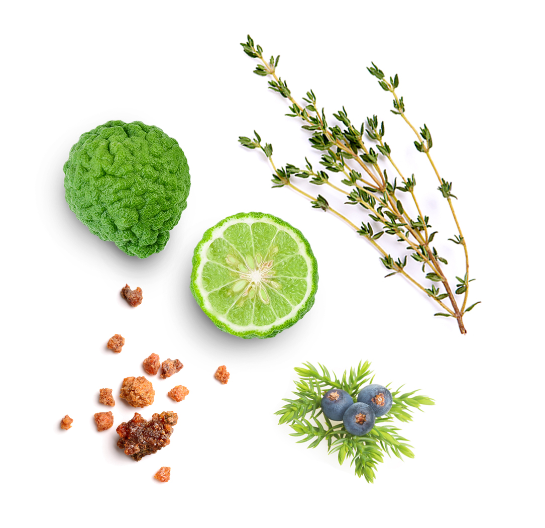 What's Inside Forgive Touch