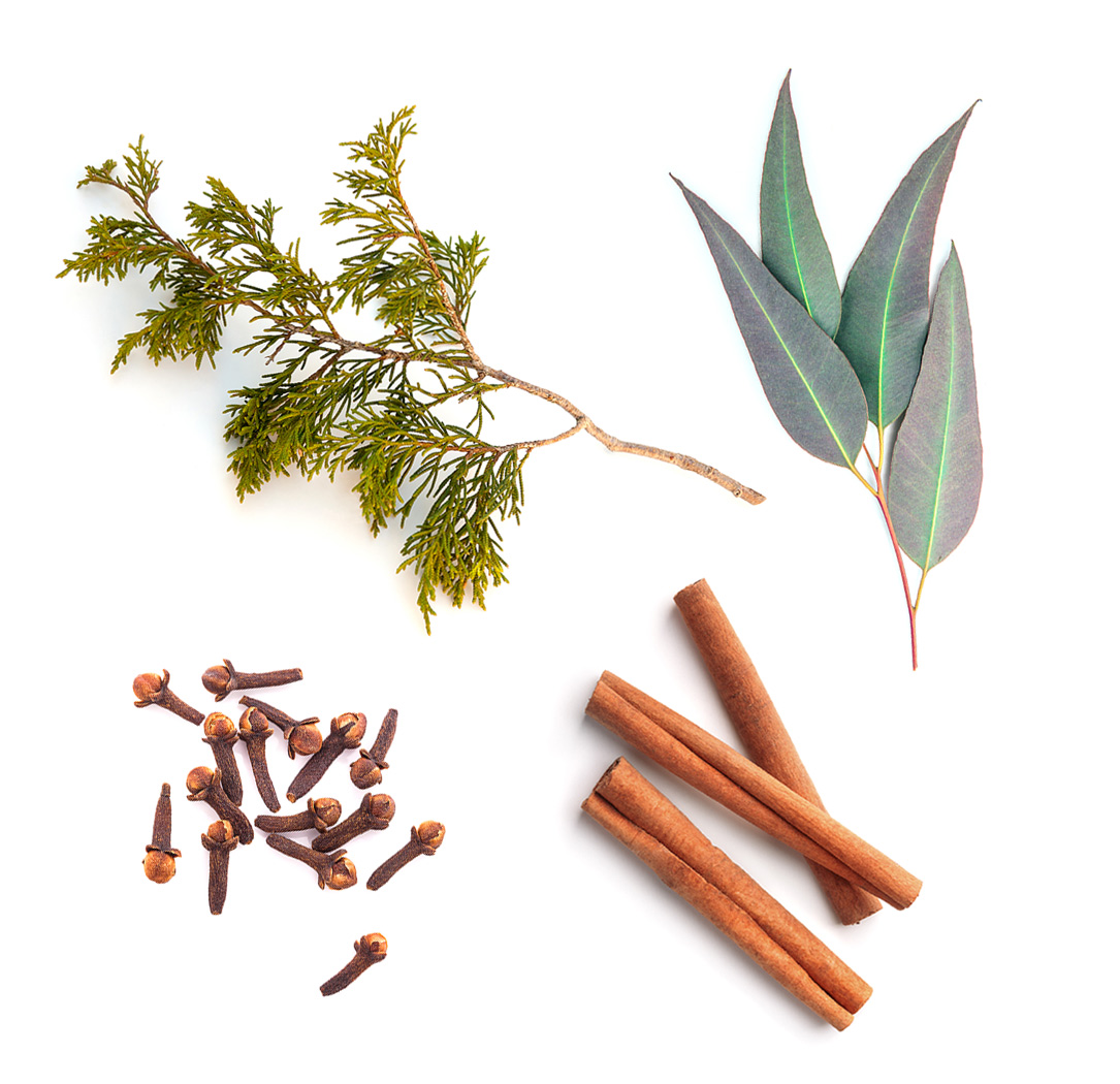 Harvest Spice Oil Ingredients