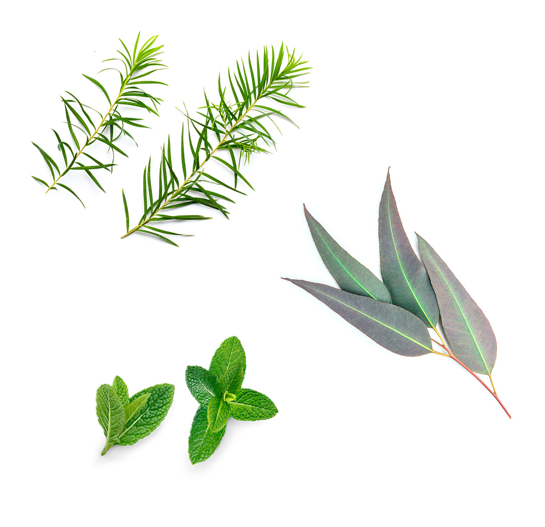 Daily Conditioner Whatsinside