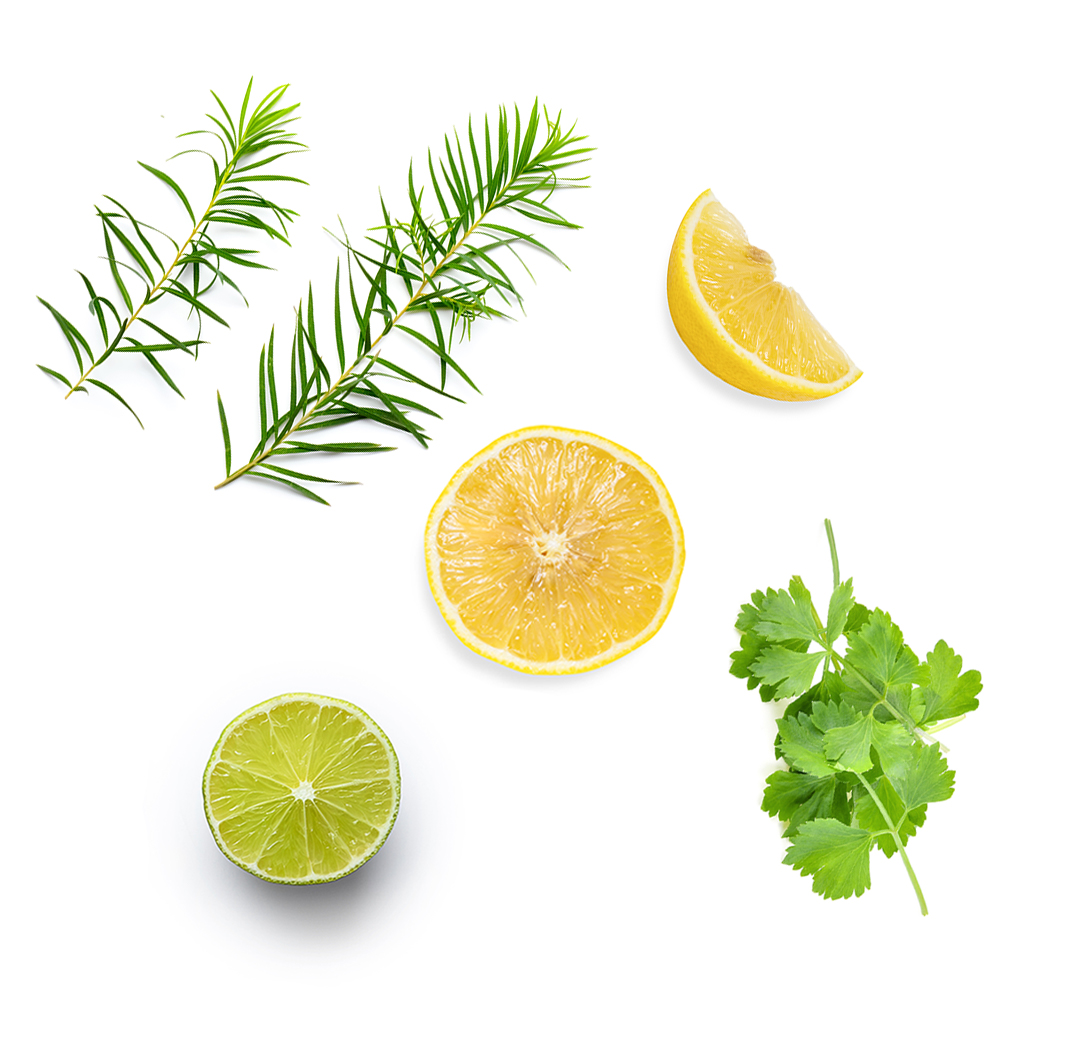 What's Inside Purify Oil