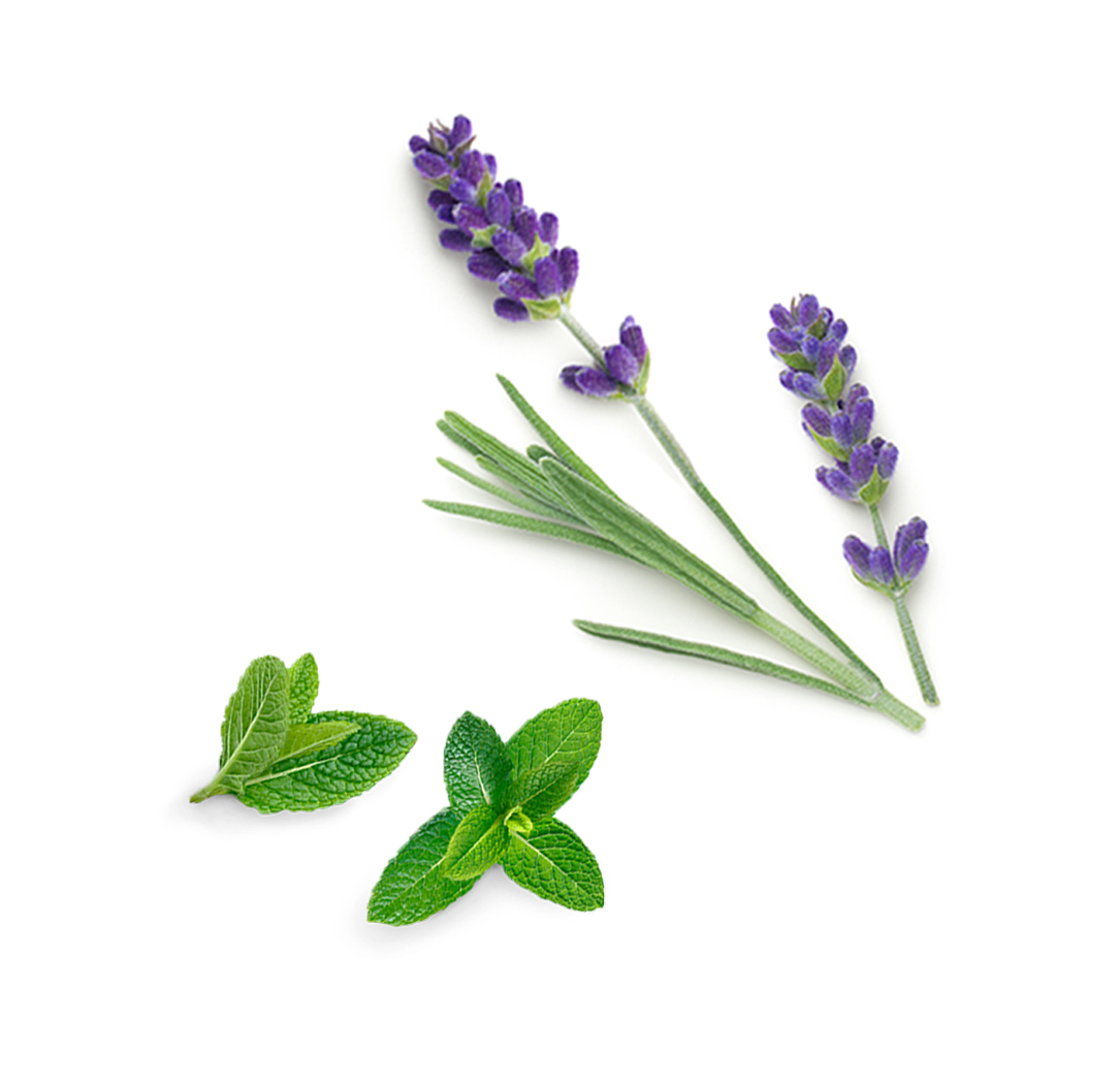 What's Inside doTERRA Rescuer Oil