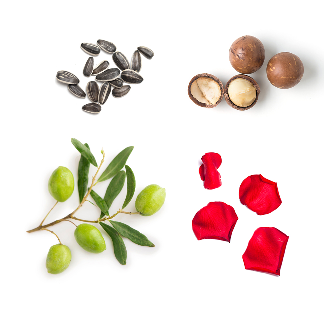 doTERRA Rose Hand Lotion Botanical Ingredients