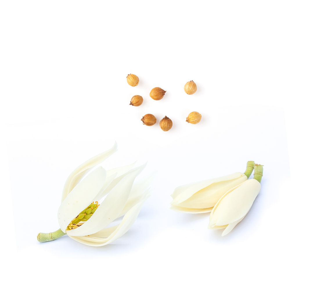 What's Inside doTERRA Steady Oil