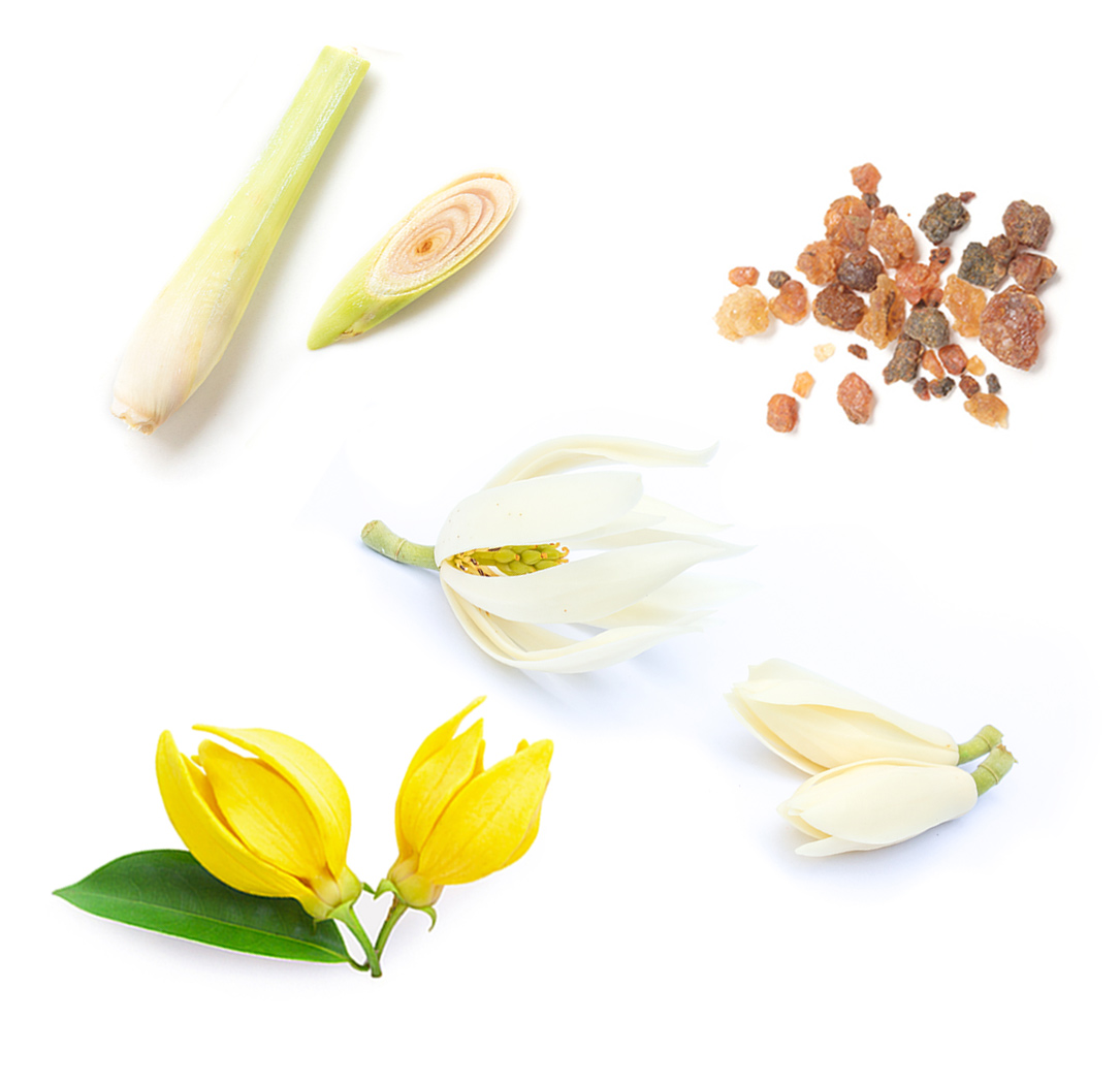 face and body mineral sunscreen stick What's inside image