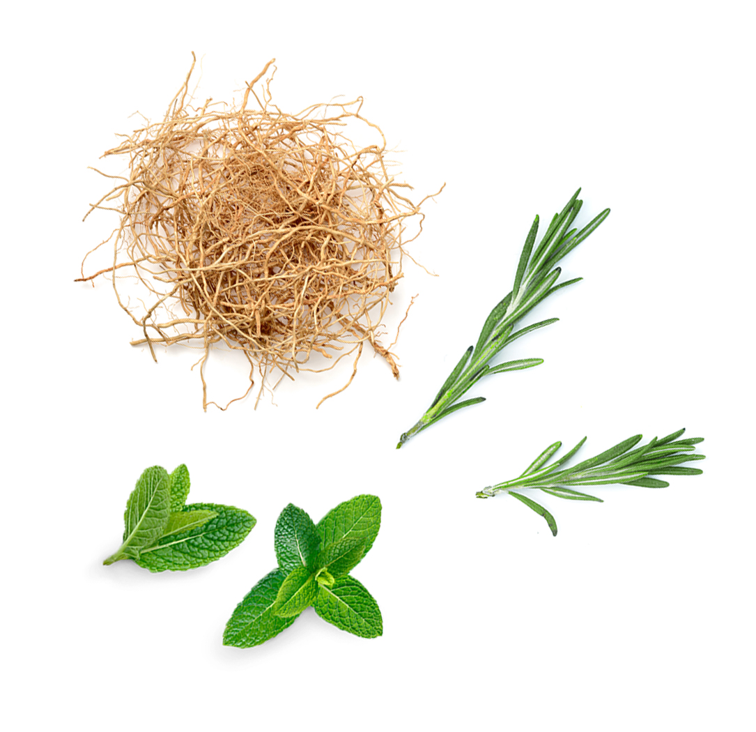 What's Inside doTERRA Thinker Oil