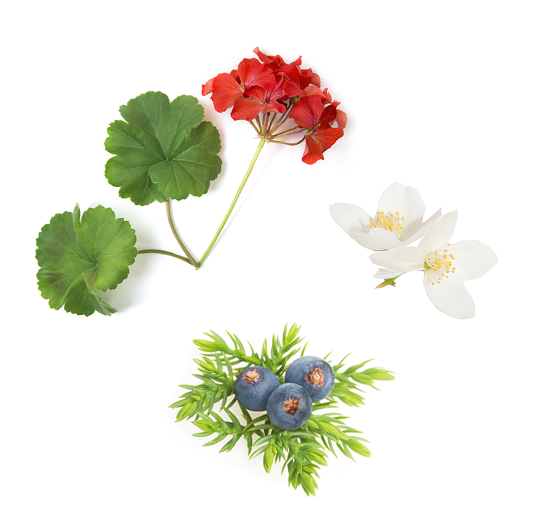 What's Inside Verage Moisturizer