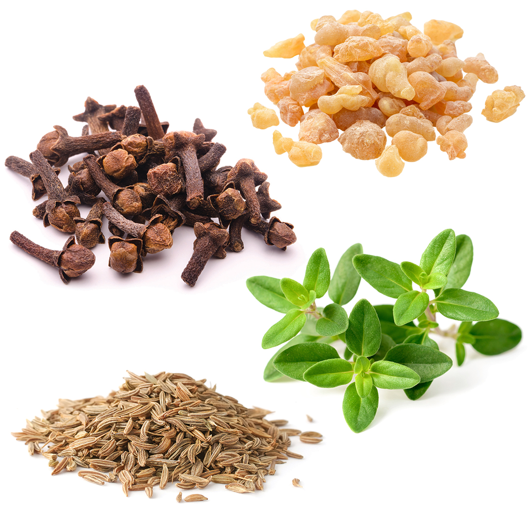 xEO Mega What's Inside