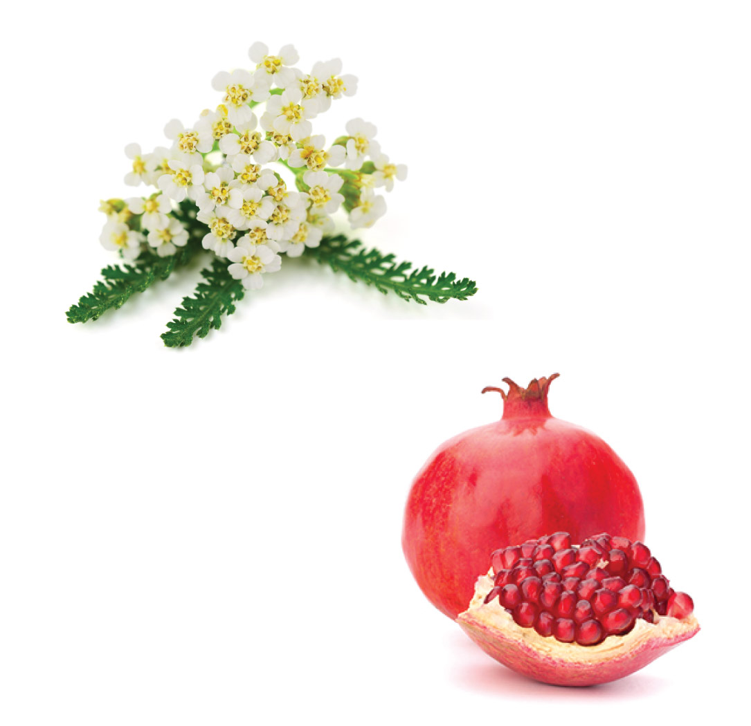 What's Inside Yarrow Pom Oil