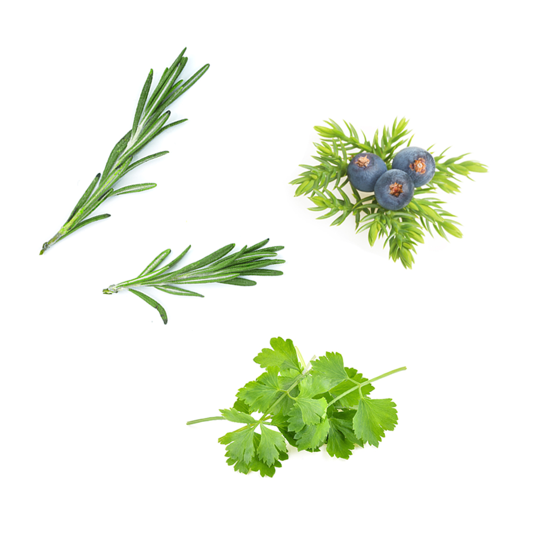 Zendocrine What's Inside