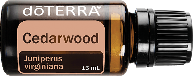 Cedarwood Essential Oil