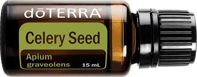 Celery Seed Essential Oil