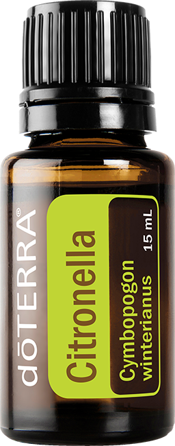 Citronella Essential Oil