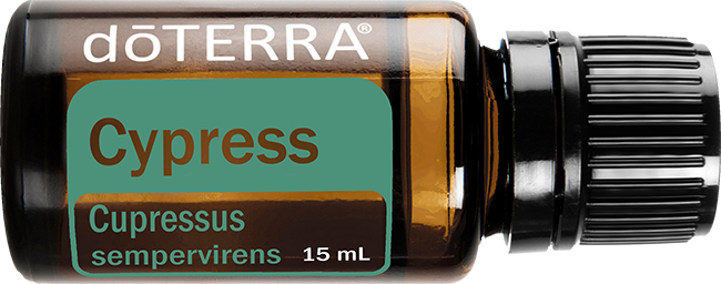Cypress Essential Oil