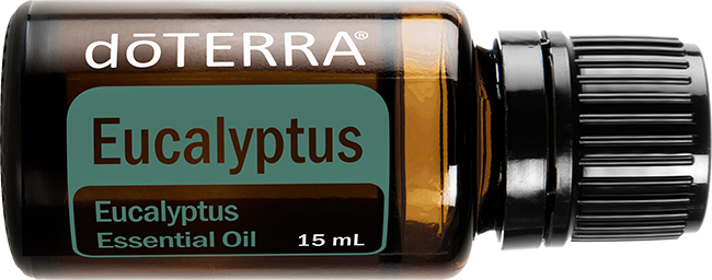 Eucalyptus Essential Oil