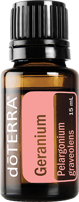 Geranium Essential Oil