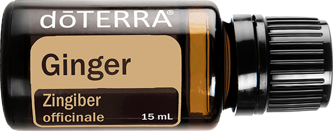 Ginger Essential Oil