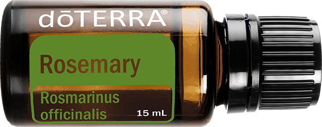 Rosemary Essential Oil