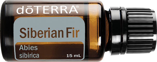 Siberian Fir Essential Oil