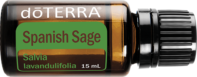 Spanish Sage Essential Oil