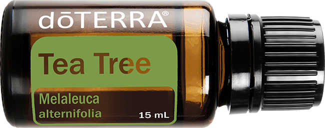 Tea Tree Essential Oil