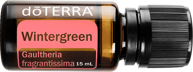 Wintergreen Essential Oil