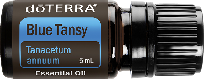 Blue Tansy Essential Oil
