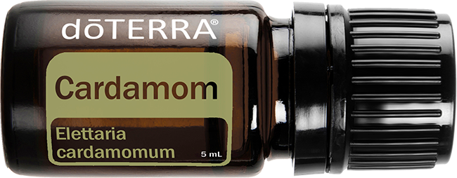Cardamom Essential Oil