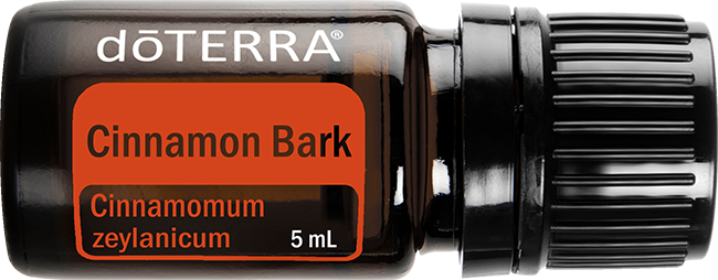 Cinnamon Bark Essential Oil