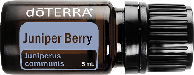 Juniper Berry Essential Oil